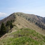 Cima Oro da Bocca Dromaè