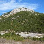 Corno di Campo Bianco da bivacco Tre Fontane