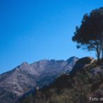 Elba, Monte Capanne