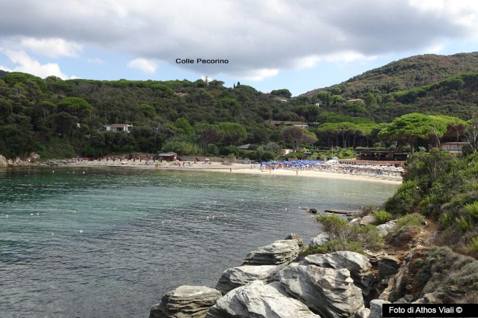 Colle Pecorino dalla spiaggia di Procchio