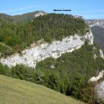 Monte Coalaz