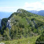 Cima Manderiolo e Larici