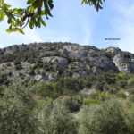 Monte Baone da sentiero dell'Olivo