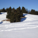Dosso di Sopra di monte Cucco