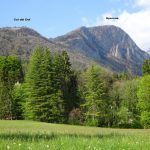 Monte Sperone