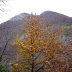 Monte Grande da Fiammineda