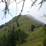Cima Palon da cima Alta