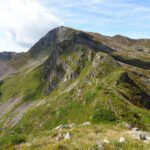 Rondinaio dal Rondinaio Lombardo