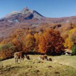 Monte Ventasso